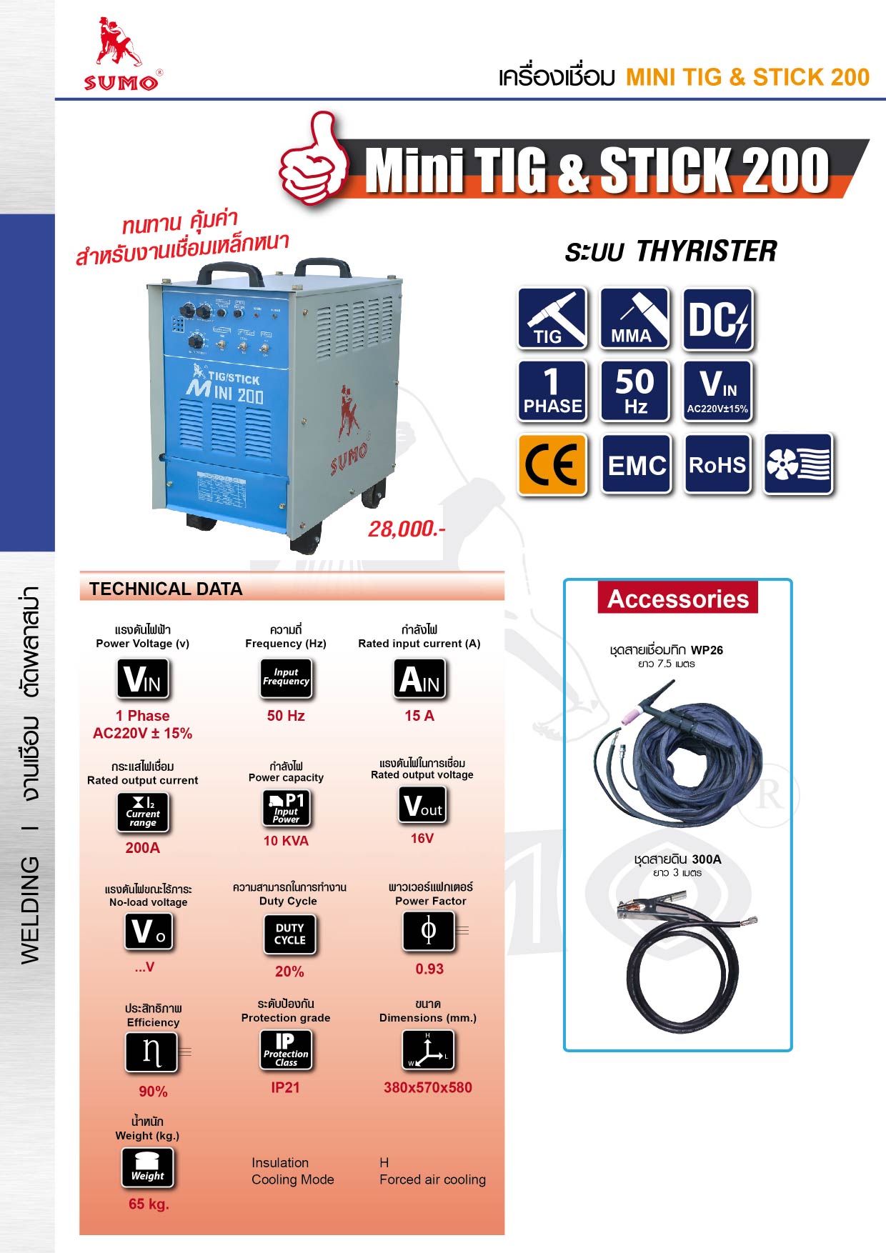 Tig/Stick-315 AC/DC Pulse