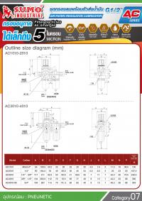 AC 4010-04
