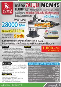 MCM45-1