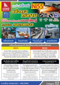 WeldingElectrodeCastIron-Ni55-2